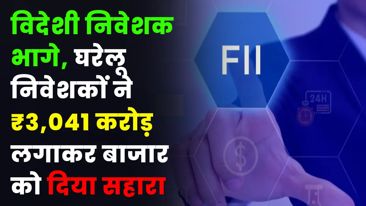 FII vs DII