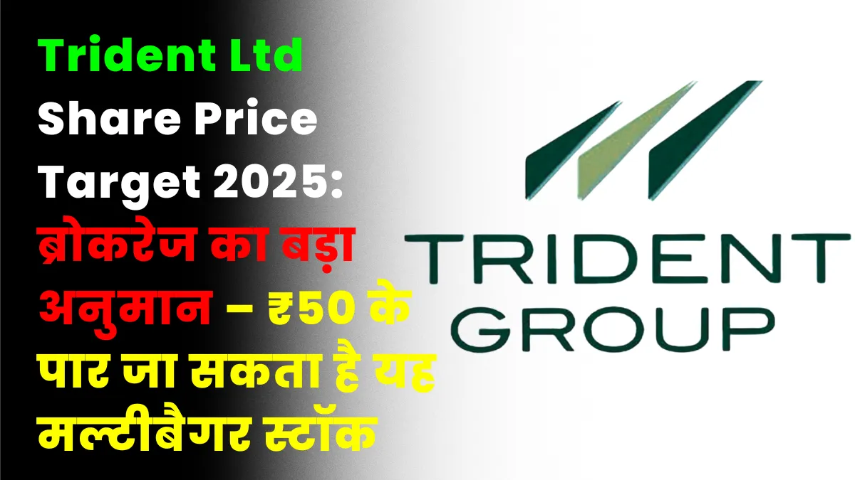 Trident Ltd Share